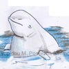 beluga whale